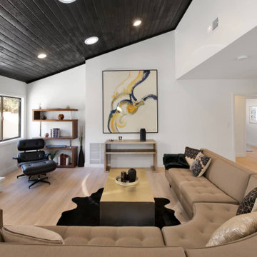Encino House Remodel - Family Room & Kitchen