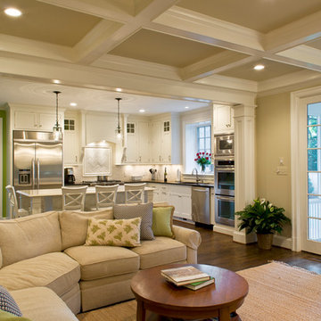 Family room and kitchen