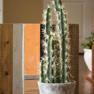 Family Rooms with Nearly Natural Silk Florals - Cactus Floor Plant