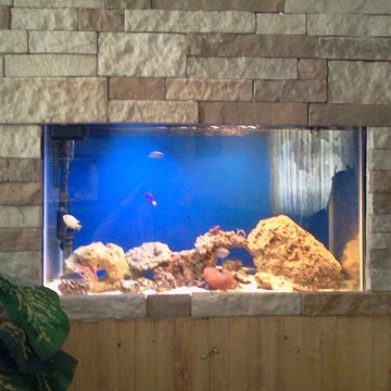 fish tank custom in walls