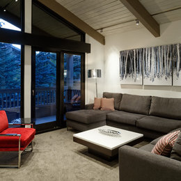 https://www.houzz.com/photos/gant-unit-contemporary-family-room-denver-phvw-vp~11395391