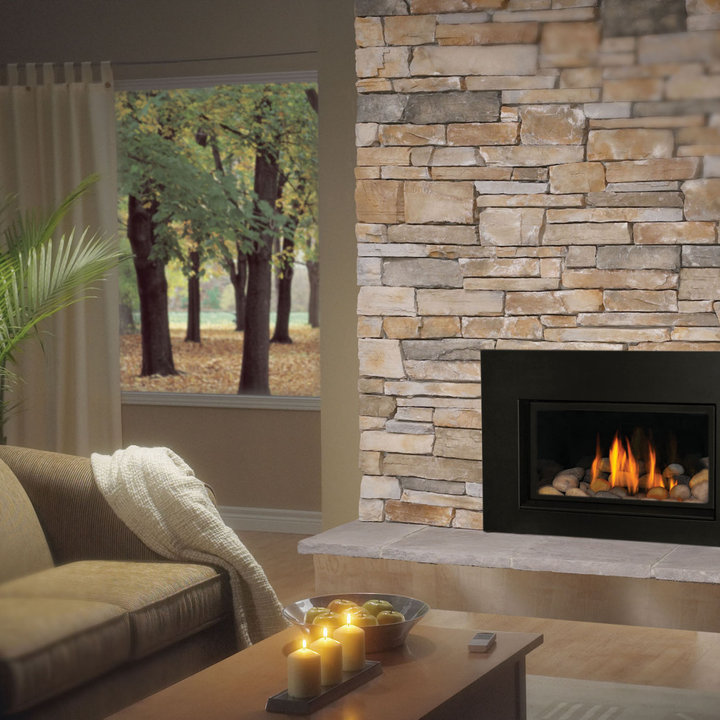 Gas Fireplace Insert Houzz
