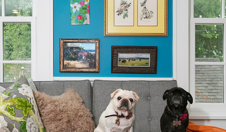 Colorful Addition for Globetrotters and Their Pugs