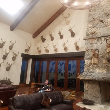 Hanging Deer Mounts and More