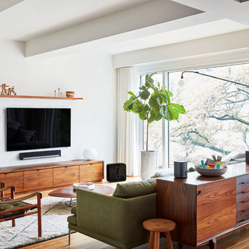 Home Entertainment Systems