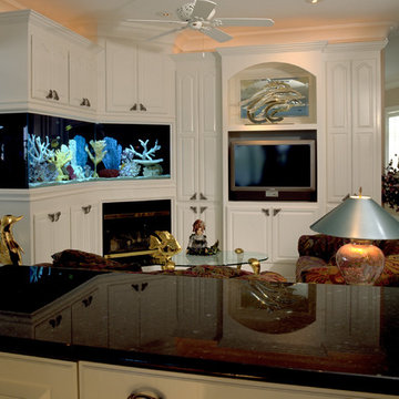 In Wall Aquariums