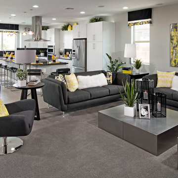 Inspire @ Greer Ranch | Surprise, AZ | 4594 - Excite Plan