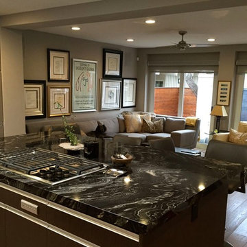 Kitchen family room remodel