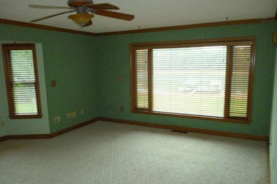 Идея дизайна: открытая гостиная комната с зелеными стенами и ковровым покрытием без камина