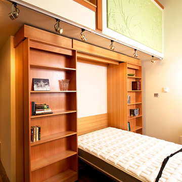 Library Wall Bed
