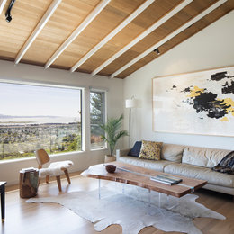 https://www.houzz.com/photos/living-room-contemporary-living-room-san-francisco-phvw-vp~92417451