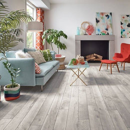 https://www.houzz.com/hznb/photos/luxury-vinyl-tile-and-plank-flooring-traditional-family-room-san-francisco-phvw-vp~112017764