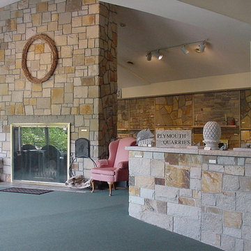 Main Fireplace