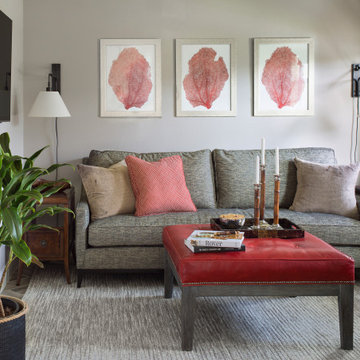 Man Cave in Gray and Red