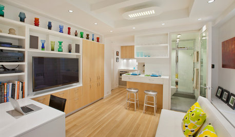 Houzz Tour: A 340-Sq-Ft Home Fits in Plenty of Comfort and Style
