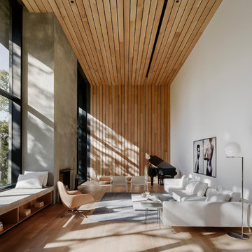 Modern Family Room