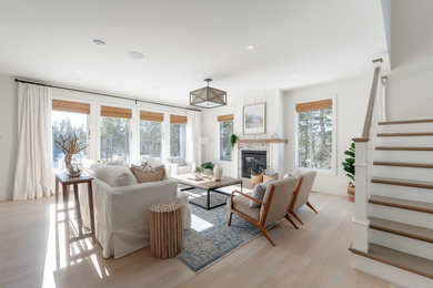 Family room - large transitional light wood floor family room idea in Other with white walls and a stone fireplace