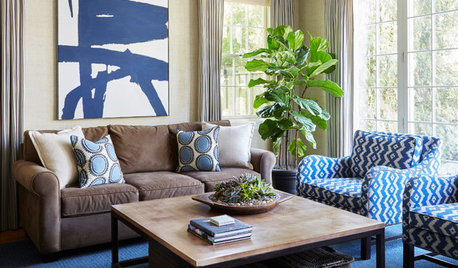 Houzz Tour: Modern Update for a Traditional Home