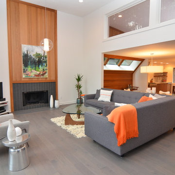 Modern Whole Home Design-Living Room