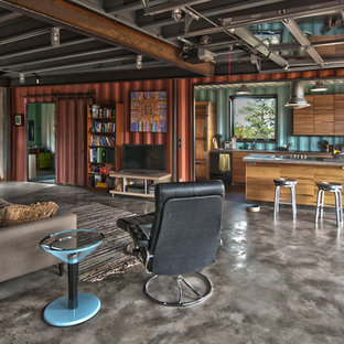 Mittelgroßes, Offenes Industrial Wohnzimmer mit roter Wandfarbe, Betonboden und freistehendem TV in Denver