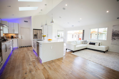 Mid-sized minimalist open concept light wood floor and brown floor family room photo in San Francisco with white walls, no fireplace and no tv