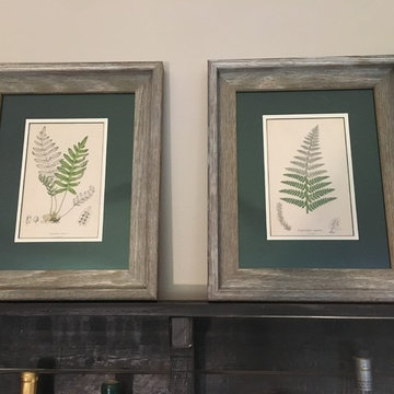 Original Vintage Botanical Framed Prints
