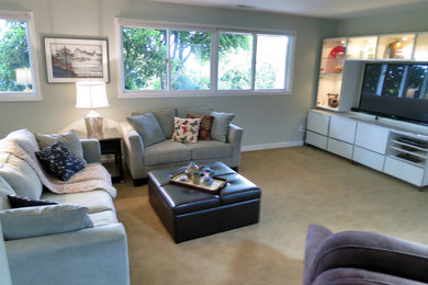 Modelo de sala de estar abierta clásica de tamaño medio con paredes azules, moqueta, estufa de leña, televisor independiente y suelo beige
