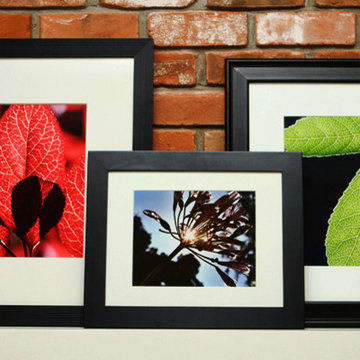 Photo Gallery in Family Room