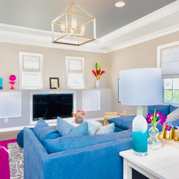 Playroom/Family Room - Contemporary Style