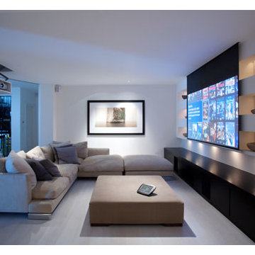 Projector Screens, Mirror TV's & Creative TV Mounts