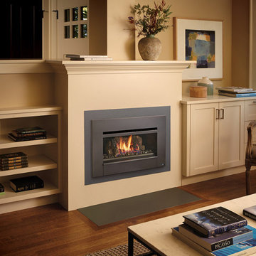 Radiant Plus™ Small MV & GSB Gas Fireplace Insert