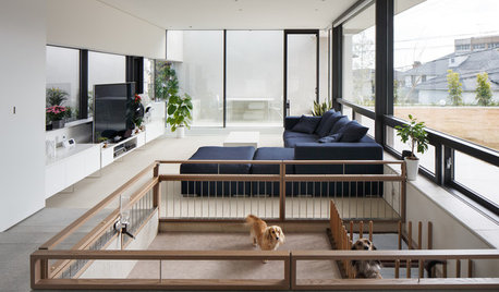 Houzz Call: Animal Lovers, Show Us How You've Spoilt Your Pet