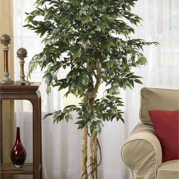Silk Smilax Tree in Traditional Style Neutral Family Room