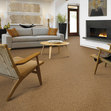 SMART Carpet - Family Room