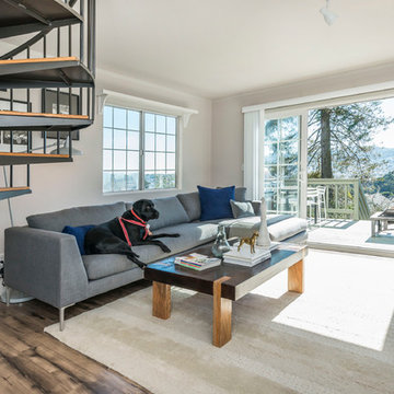 South-facing Family room with Spiral Staircase (Dog excluded)