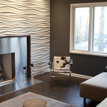 Stainless Steel Fireplace and modularArts wall