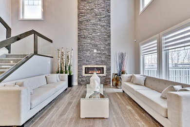 Inspiration for a contemporary living room remodel in Edmonton
