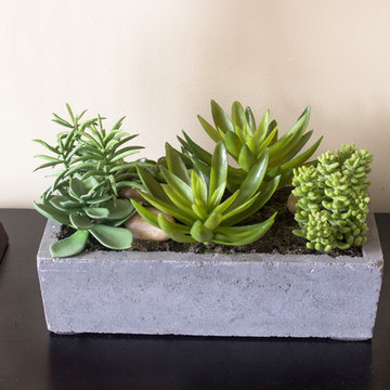 Succulent Planter on Family Room Hall Table