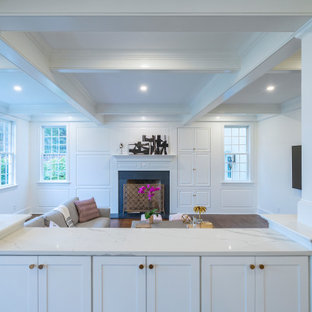 Transitional 1st Floor Remodel in Villanova, PA