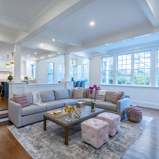 Transitional 1st Floor Remodel in Villanova, PA