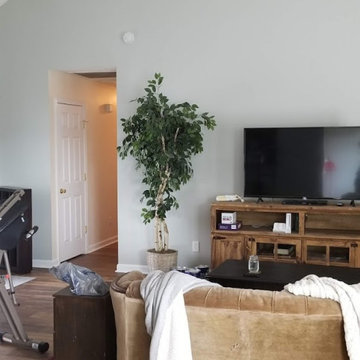Update of Kitchen & Living Room
