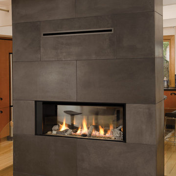 Valor Linear Series Fireplaces - L1 See Through