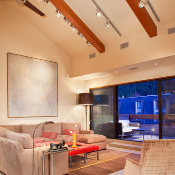 Vaulted Ceilings in Contemporary Vacation Home