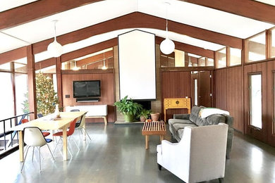 Example of a mid-century modern family room design in Other