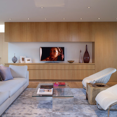 Inspiration for a large contemporary open concept light wood floor family room remodel in Los Angeles with a tv stand, white walls and no fireplace