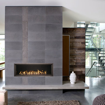 WS54 Indoor gas fireplace