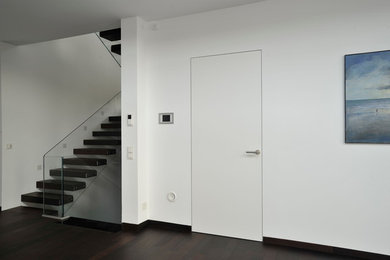 Geräumiger Moderner Flur mit weißer Wandfarbe, dunklem Holzboden und schwarzem Boden in Sonstige