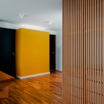 Ibirapuera House
