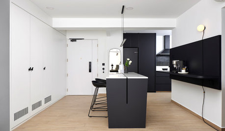 Houzz Tour: Black-and-White is Not Boring in This Slick 4-Room Flat