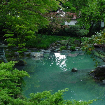Alter Japangarten in neuem Gewand - Teichsanierung